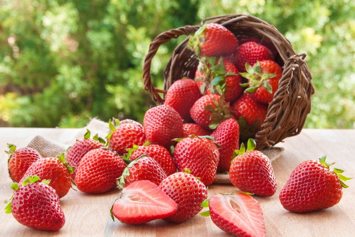 The Truth About Your Favorite Berry: Is Strawberry a Fruit or Vegetable?