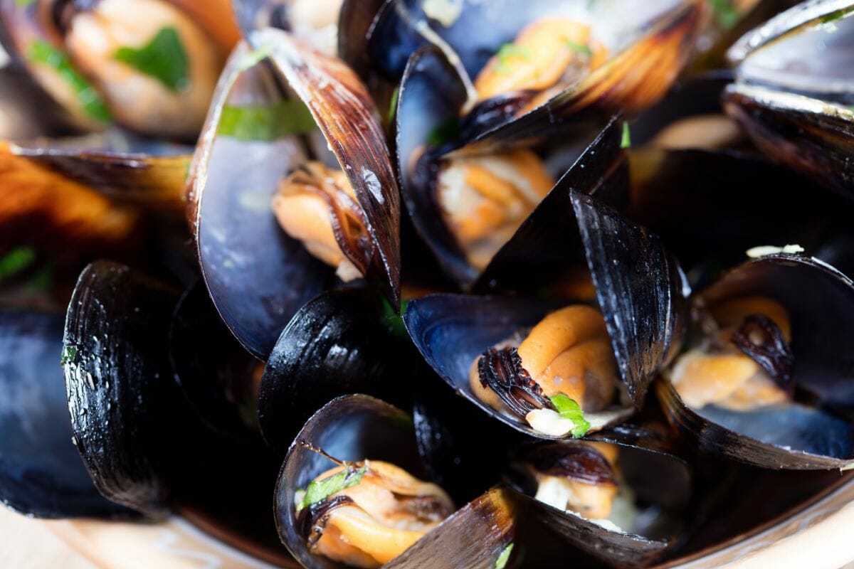 What's The Difference Between Black Mussels And Green Mussels?