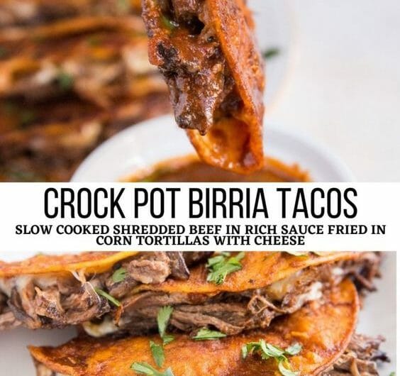 13 Tasty Birria Tacos Recipes