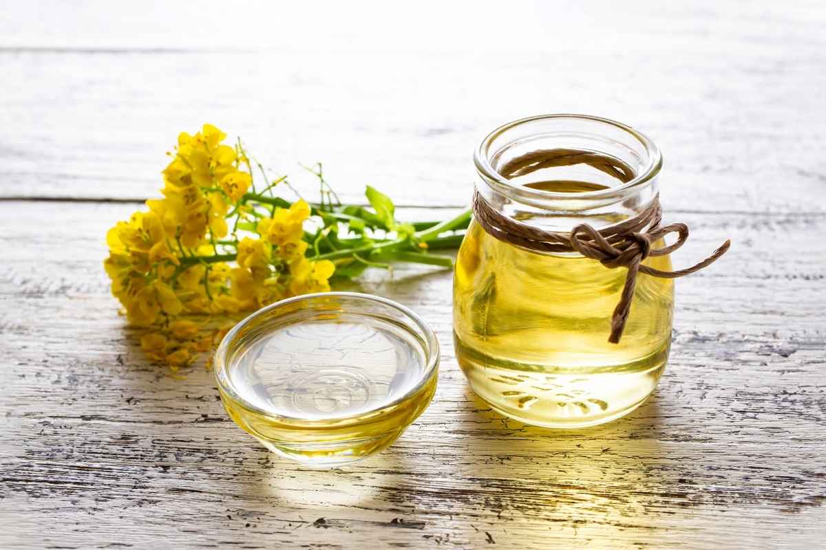 Can You Use VegetableOil Instead Of CanolaOil