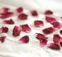 How To Dry Rose Petals With An Oven