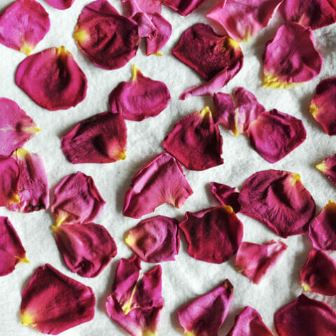 How To Use A Microwave To Dry Rose Petals?