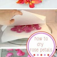 how dry rose petals at home