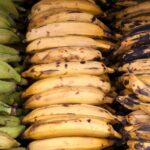 A Significant Guide To Determine Is Plantain A Fruit Or A Vegetable
