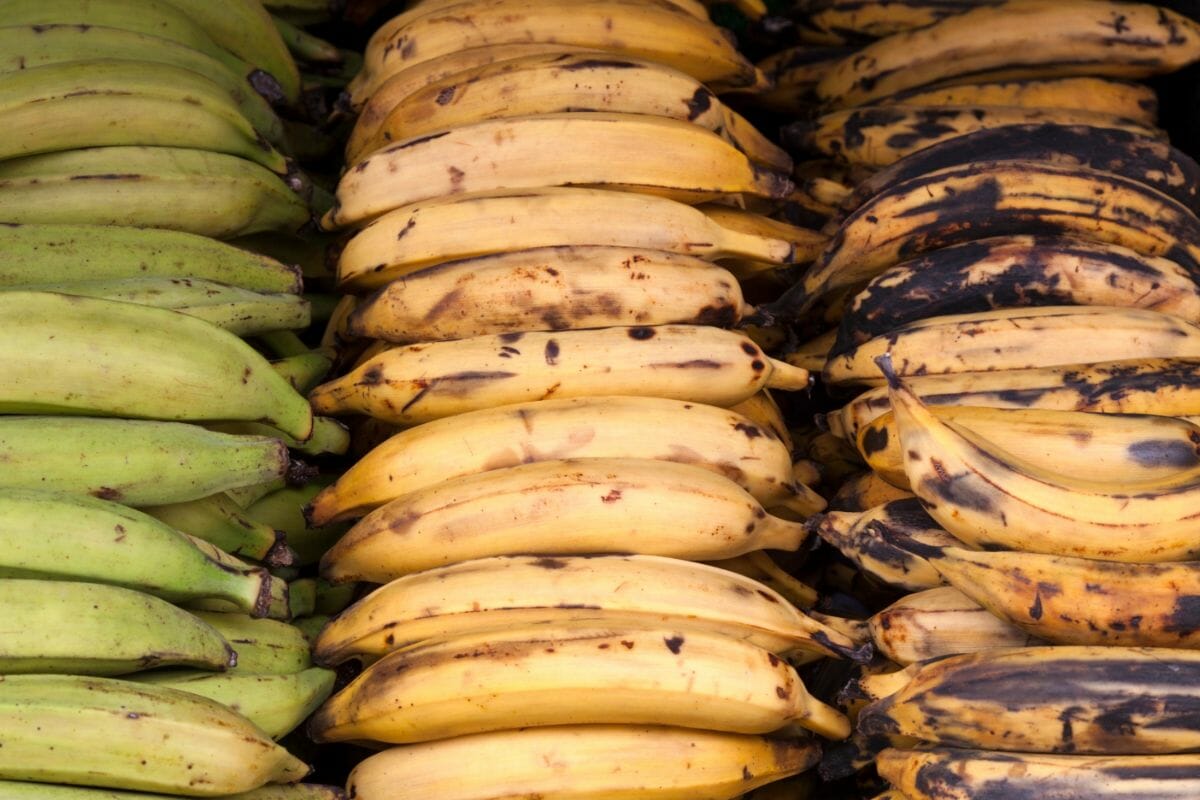 Is Plantain A Fruit Or A Vegetable Here's What We Know