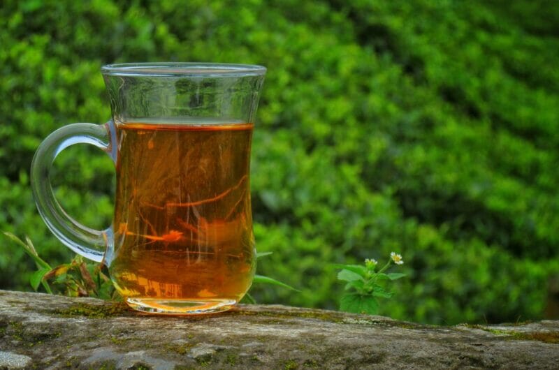 10 Most Traditional Drinks In India