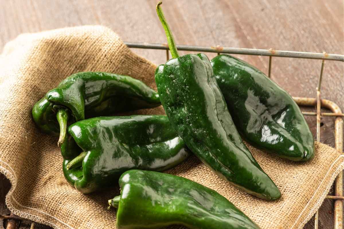 Poblano Vs Pasilla: What's The Difference? - The Rusty Spoon