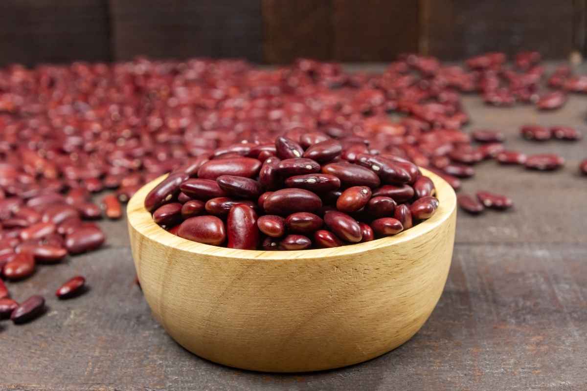 Red Beans Vs Kidney Beans