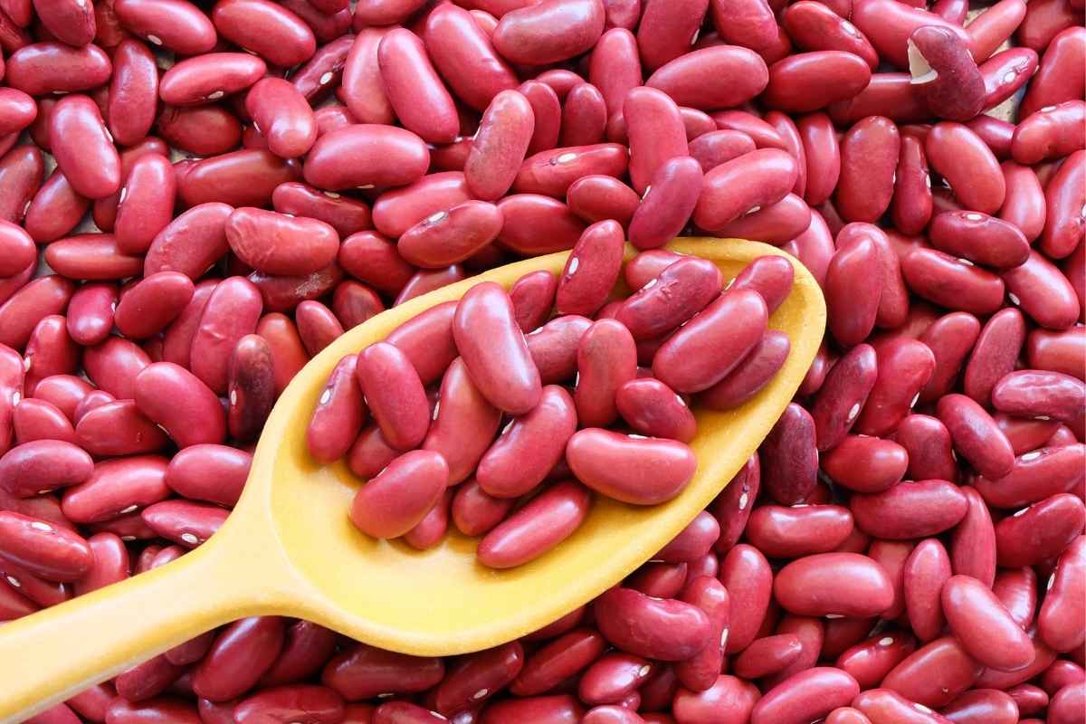 Red Beans Vs Kidney Beans