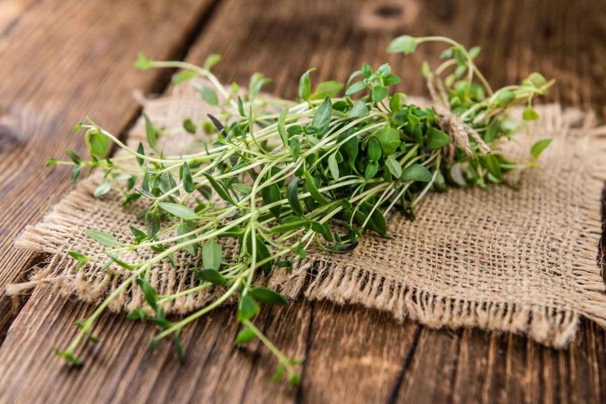Substitutes For Capers – Fresh Thyme