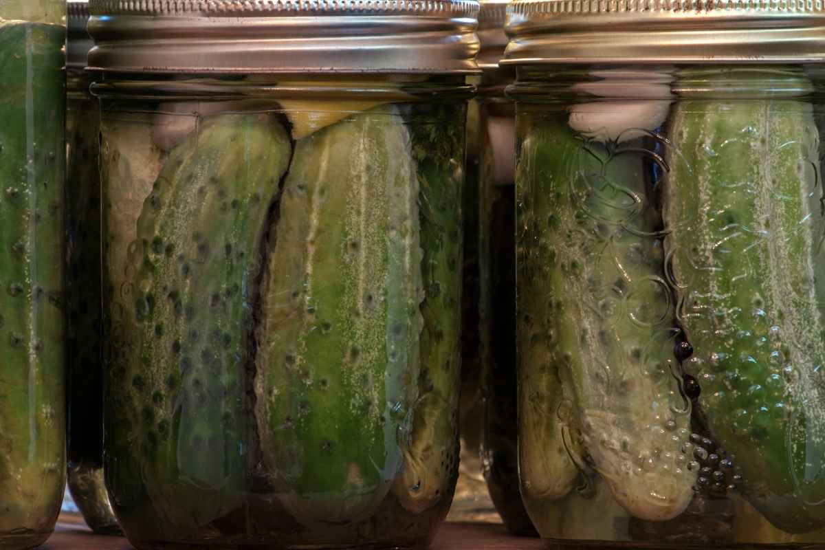Substitutes For Capers –Dill Pickles