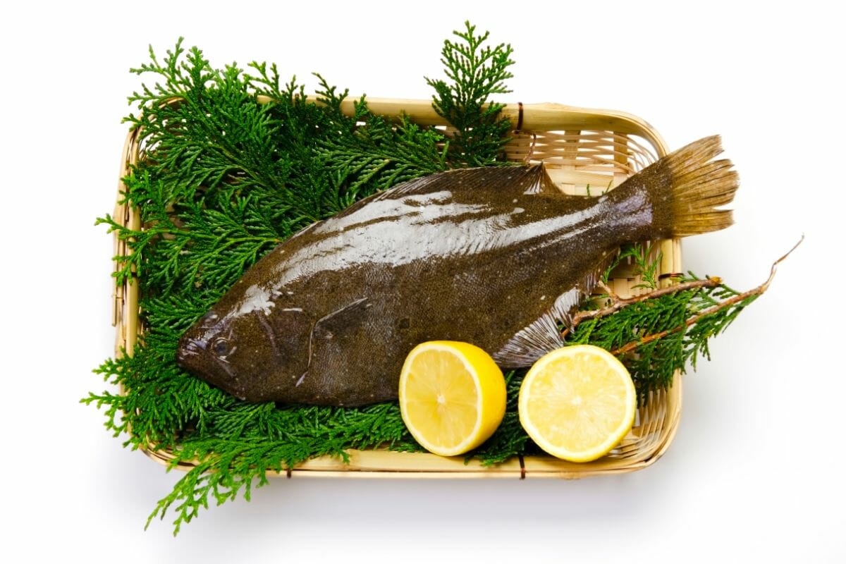 What Is The Best Way To Pick A Fresh Flounder?