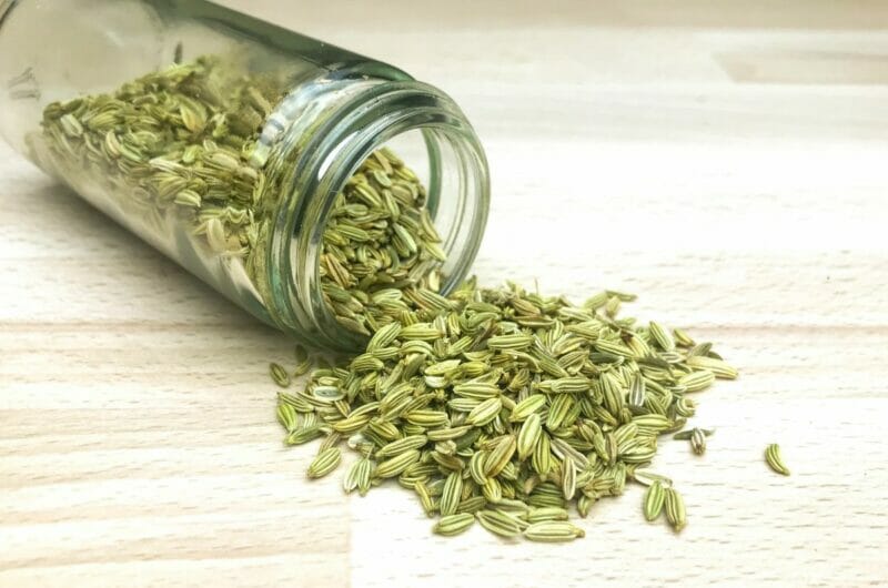 15 Best Fennel Seeds Substitute That You Can Find And Use Easily