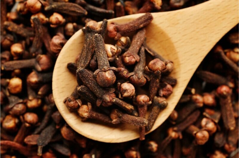 11 Best Substitutes For Cloves