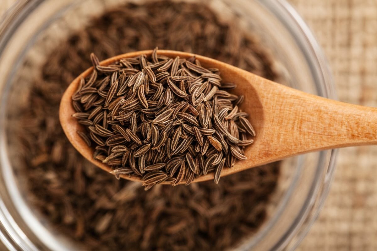 12 Best Substitute For Celery Seed – All Information You’d Know
