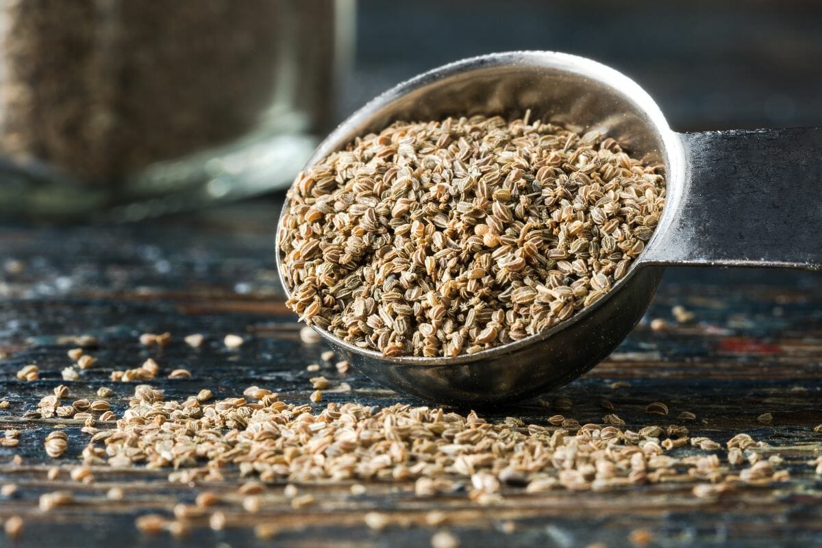 12 Best Substitute For Celery Seed – All Information You’d Know
