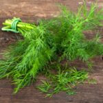21 Fresh Dill Recipes That You Need To Try!