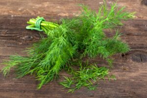 21 Fresh Dill Recipes That You Need To Try!