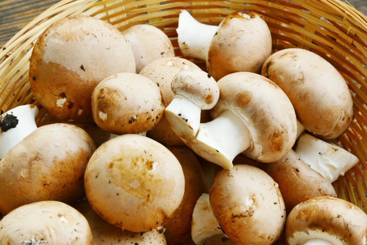 8 Substitutes For Cremini Mushrooms Will Make You Satisfied