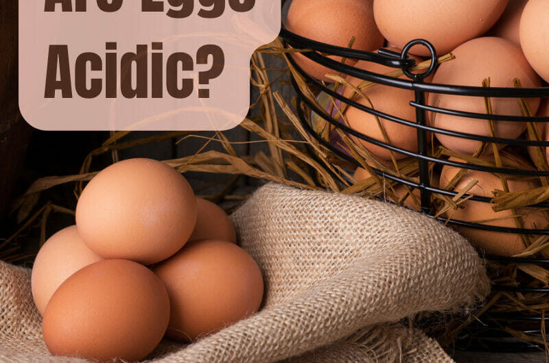 Are Eggs Acidic? And Bad For Acid Reflux?