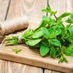 11 Outstanding Substitutes Of Mint To Try In Your Kitchen
