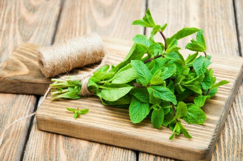 11 Best Mint Substitutes For Any Kitchen Use