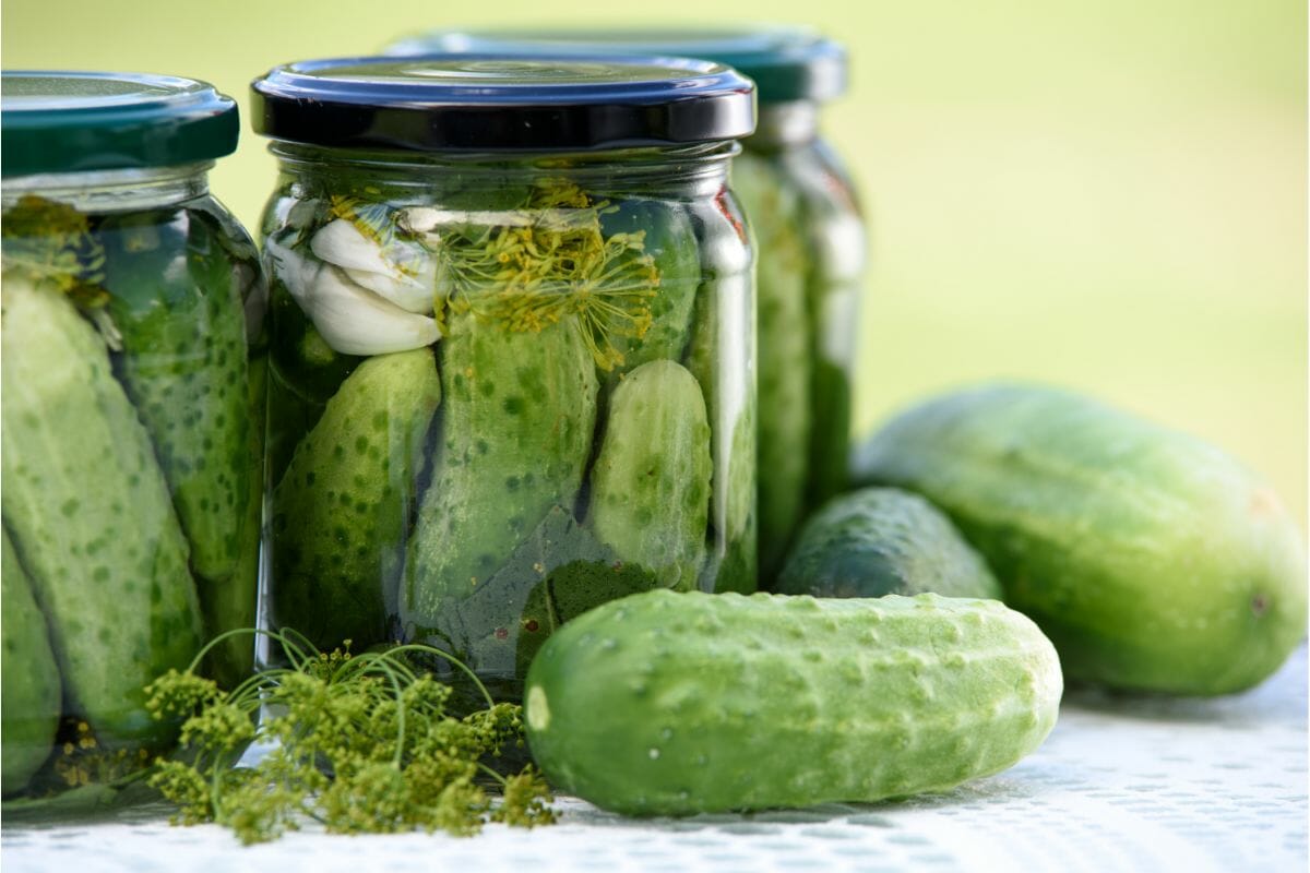 Are There Differences Between Cucumbers Pickled In Vinegar Vs Brine