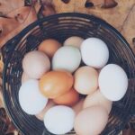 Are Eggs Acidic? And Bad For Acid Reflux?