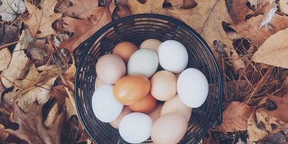 Are Eggs Acidic - Learn More About The Truth Here