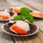 Can You Eat Raw Scallops? Here’s What All The Fuss Is About