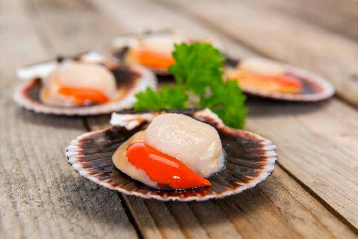 Can You Eat Raw Scallops Here’s What All The Fuss Is About