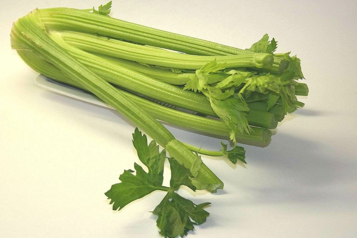 fennel seed substitutes Celery