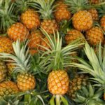 Do Pineapples Have Seeds? (And Can You Eat Them)