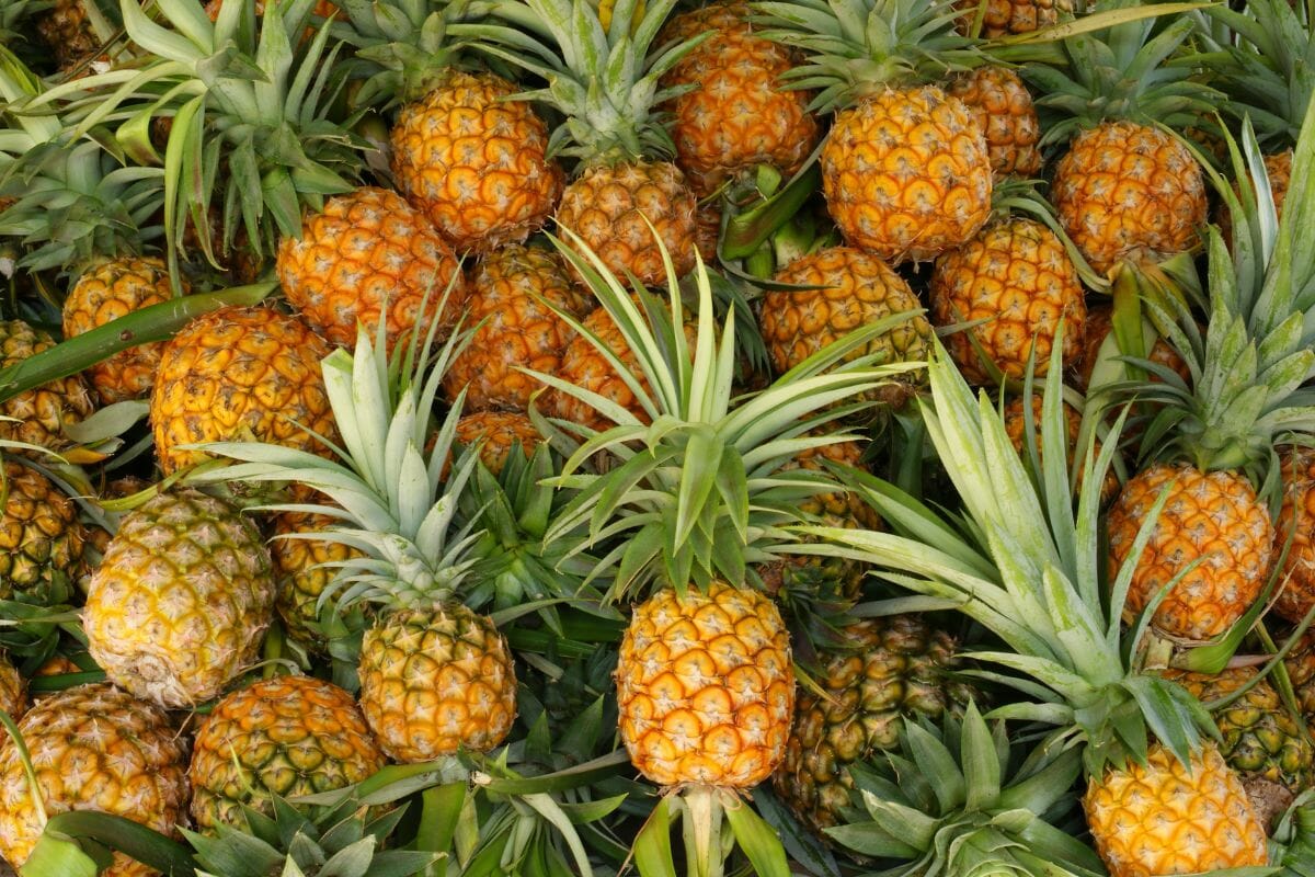 Do Pineapples Have Seeds?