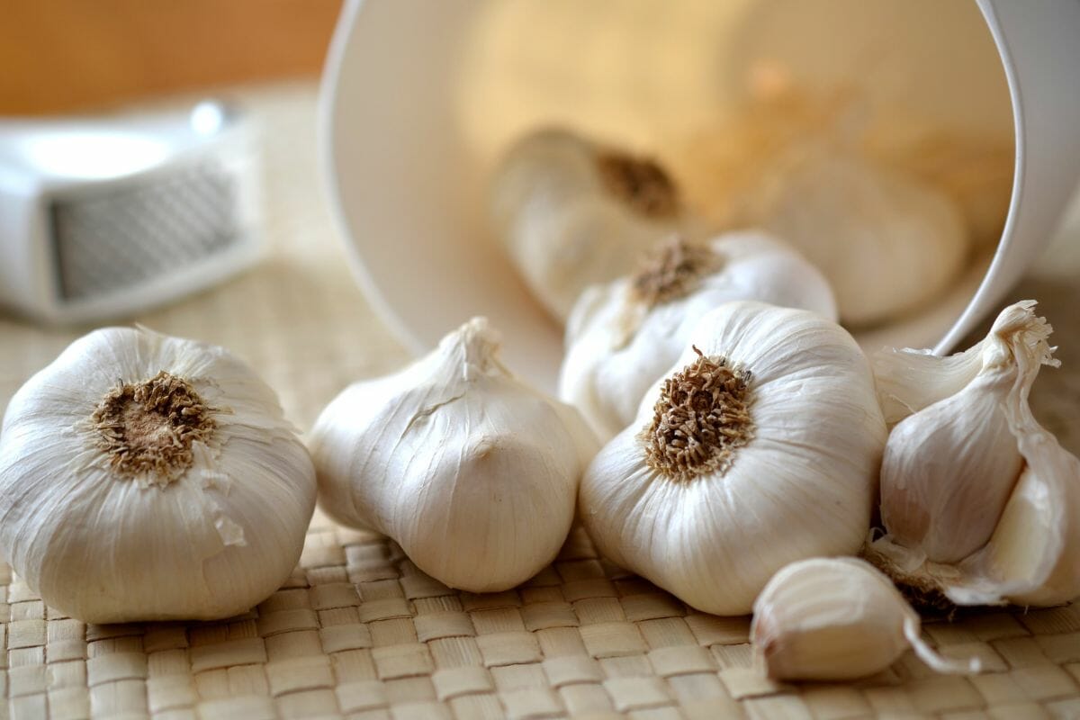 Does Garlic Go Bad? How To Tell If Garlic Is Bad!