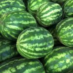 How Much Does A Watermelon Weigh? (It May Suprise You)
