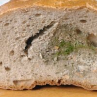 How To Stop Bread From Going Moldy