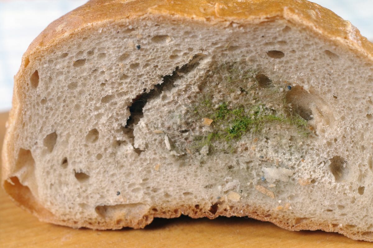 How To Stop Bread From Going Moldy