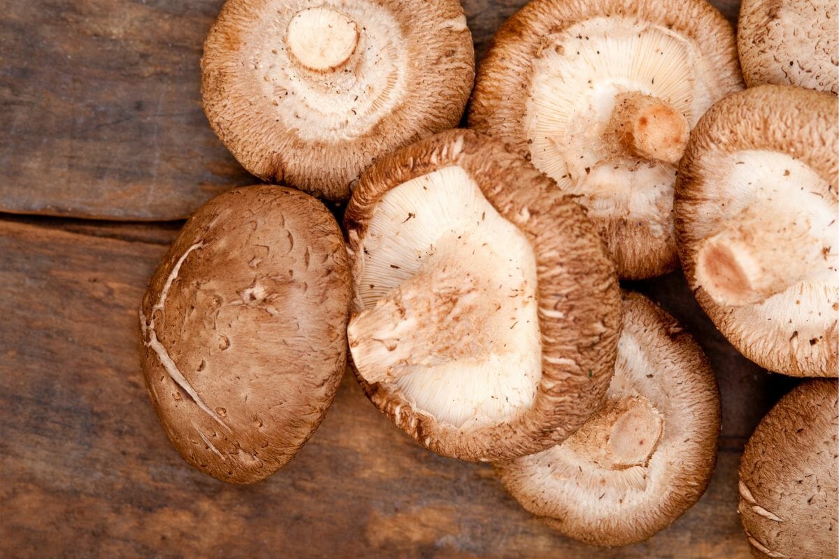 substitutes for cremini mushrooms