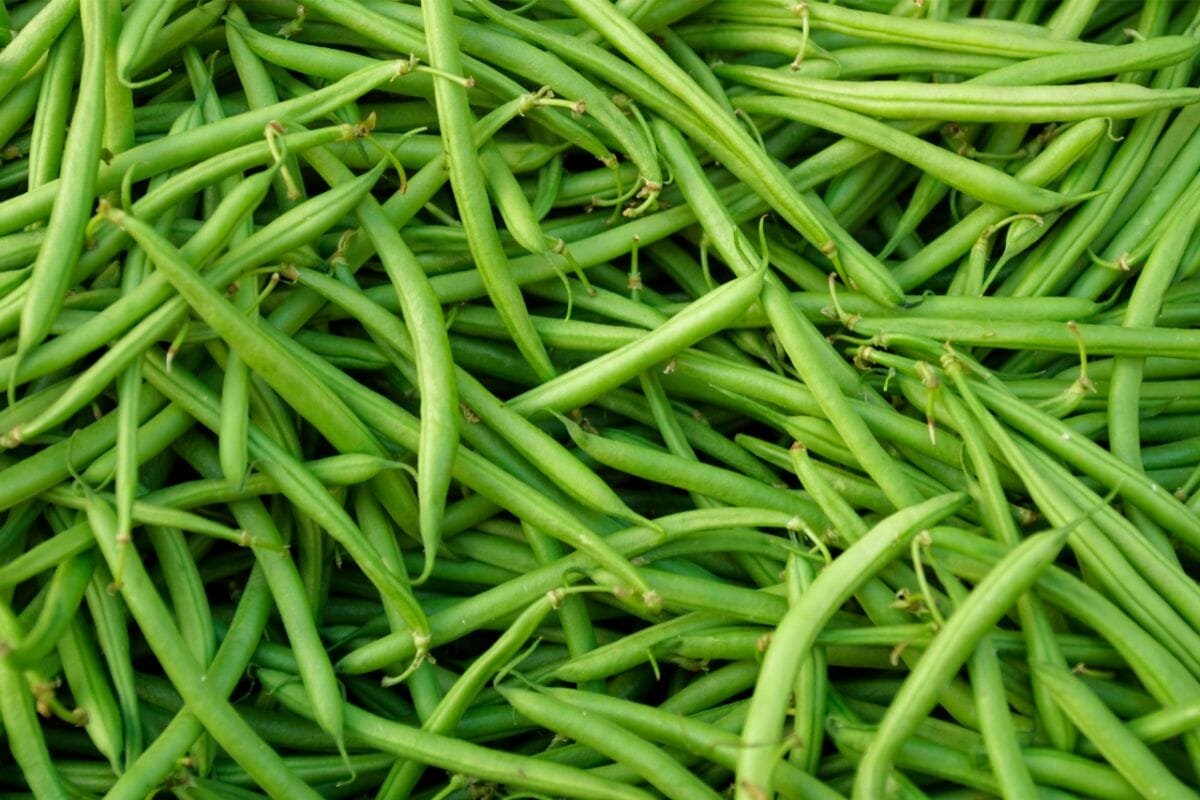 String Beans Vs. Green Beans What’s the Difference (1)