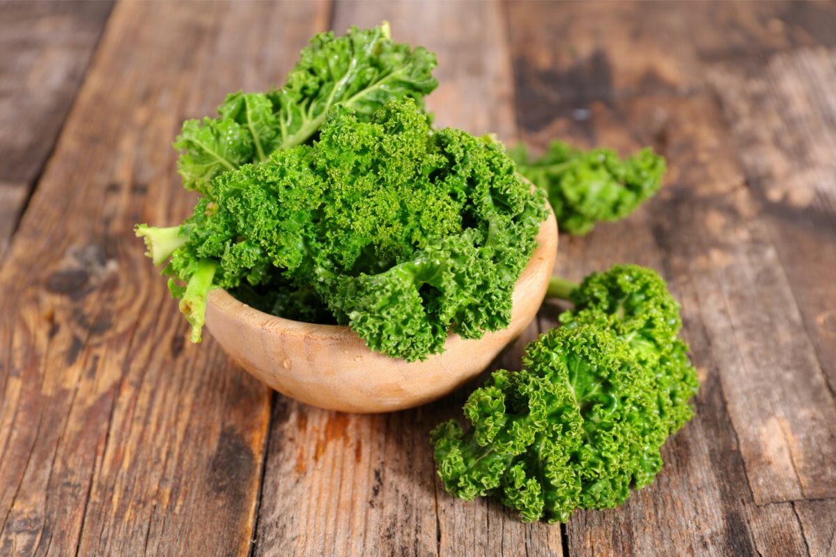 What Is Kale The Taste, Color, And Why You Should Try It Today