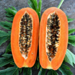 Get Healthy, Refreshing And Tasty Papaya Recipes