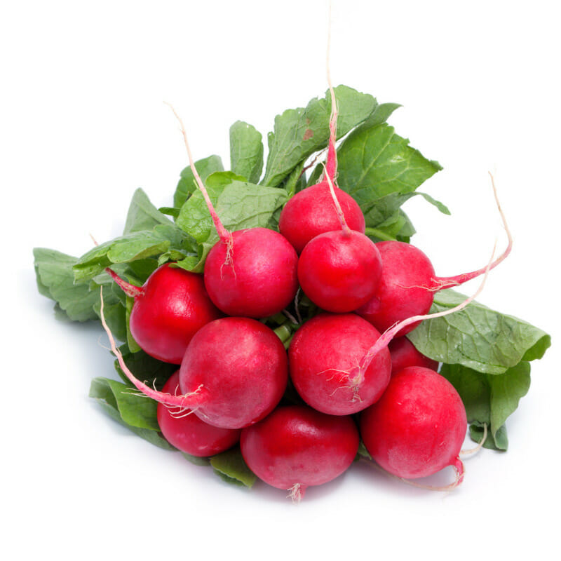 What Do Radishes Look Like