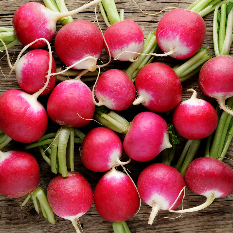 What Are Radishes