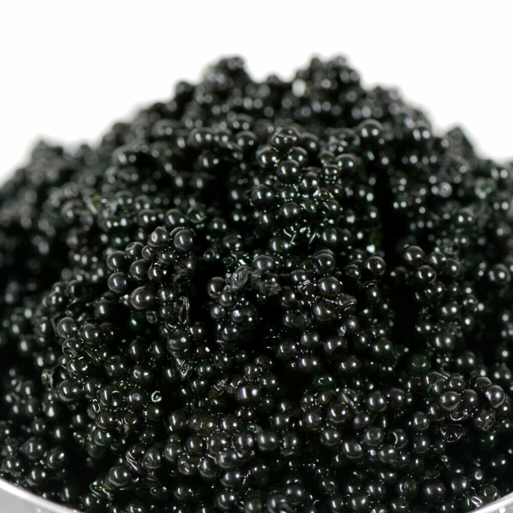 Caviar Taste