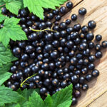 What Does Black Currant Taste Like?