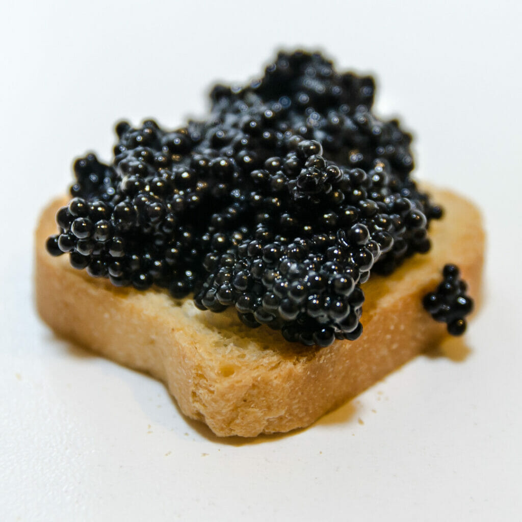 Caviar Taste