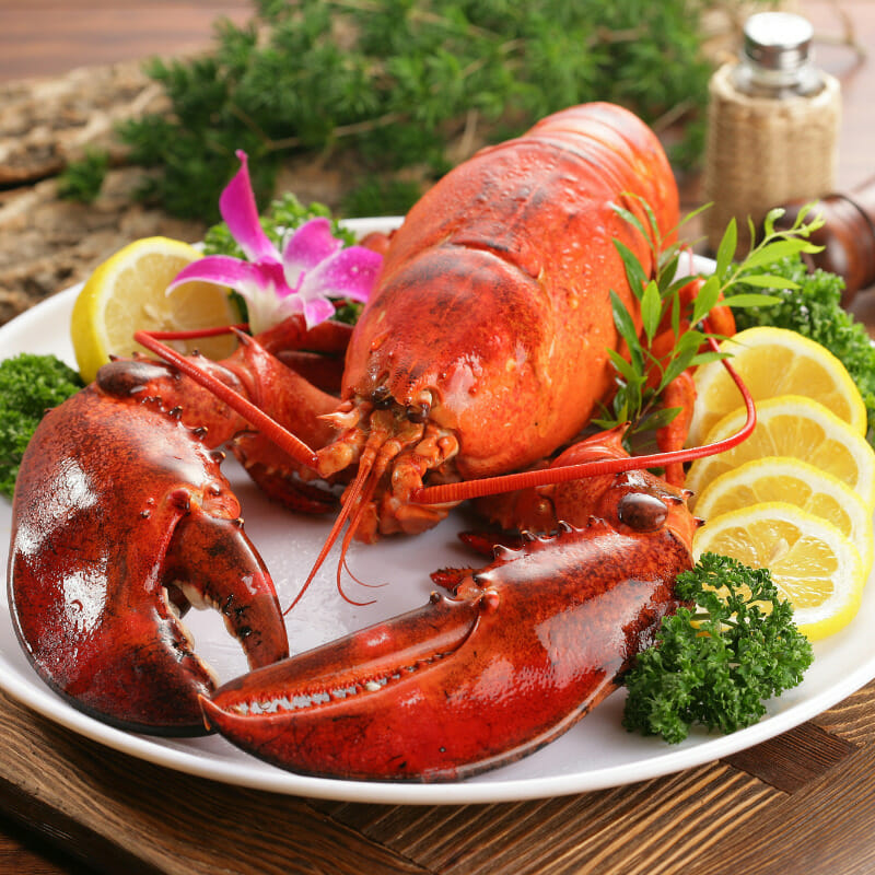 What Texture Do Lobsters Have
