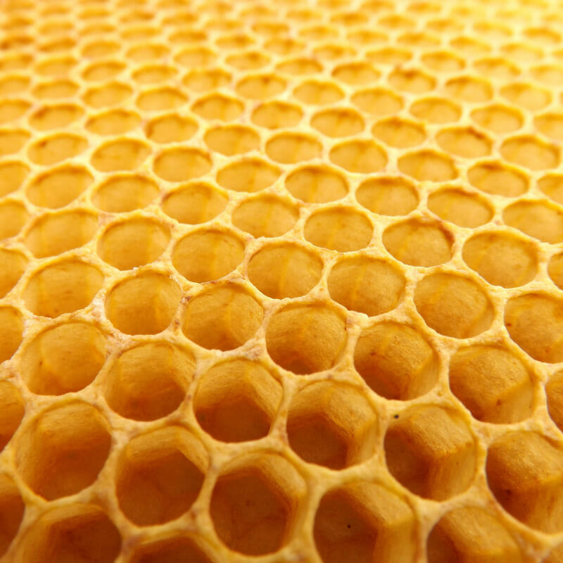 Honeycomb Taste Like