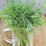 12 Easy And Simple Dill Substitutes